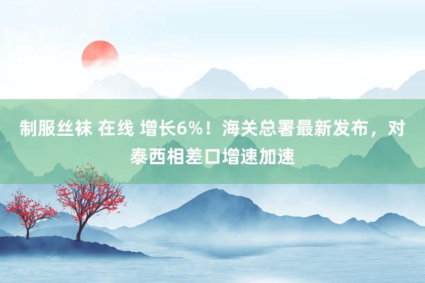 制服丝袜 在线 增长6%！海关总署最新发布，对泰西相差口增速加速