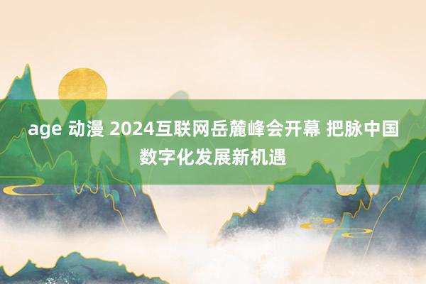 age 动漫 2024互联网岳麓峰会开幕 把脉中国数字化发展新机遇