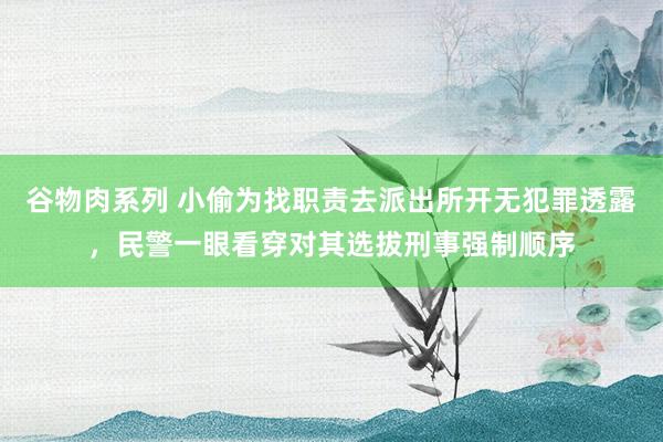 谷物肉系列 小偷为找职责去派出所开无犯罪透露，民警一眼看穿对其选拔刑事强制顺序