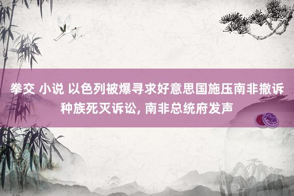 拳交 小说 以色列被爆寻求好意思国施压南非撤诉种族死灭诉讼， 南非总统府发声