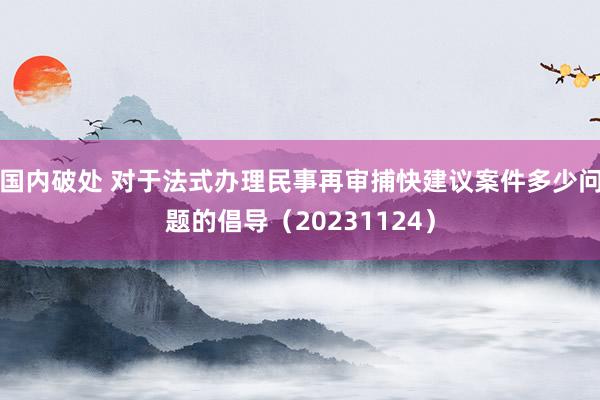 国内破处 对于法式办理民事再审捕快建议案件多少问题的倡导（20231124）