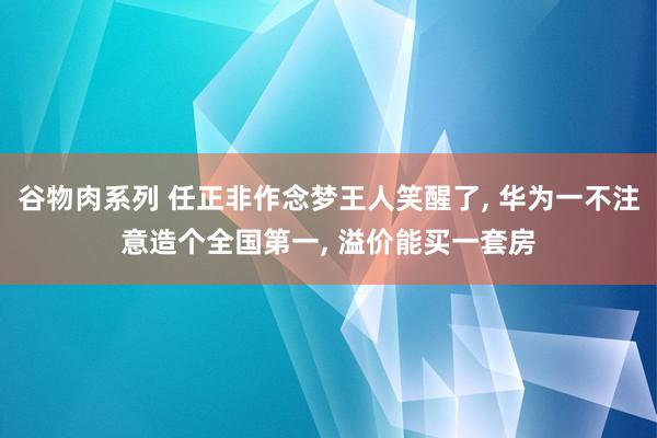 谷物肉系列 任正非作念梦王人笑醒了， 华为一不注意造个全国第一， 溢价能买一套房