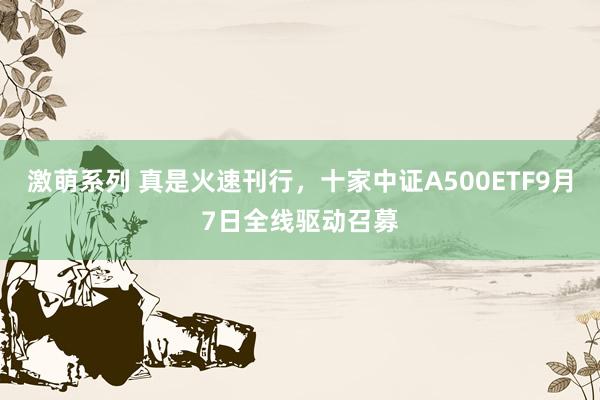 激萌系列 真是火速刊行，十家中证A500ETF9月7日全线驱动召募