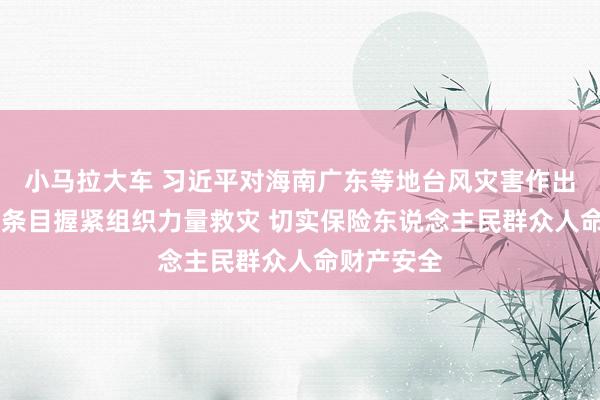 小马拉大车 习近平对海南广东等地台风灾害作出热切素质 条目握紧组织力量救灾 切实保险东说念主民群众人命财产安全