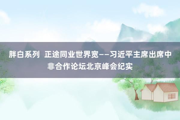 胖白系列  正途同业世界宽——习近平主席出席中非合作论坛北京峰会纪实