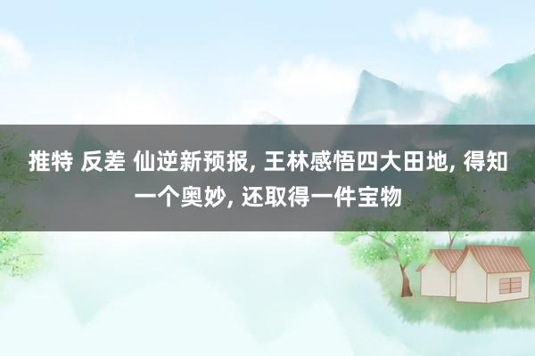 推特 反差 仙逆新预报， 王林感悟四大田地， 得知一个奥妙， 还取得一件宝物