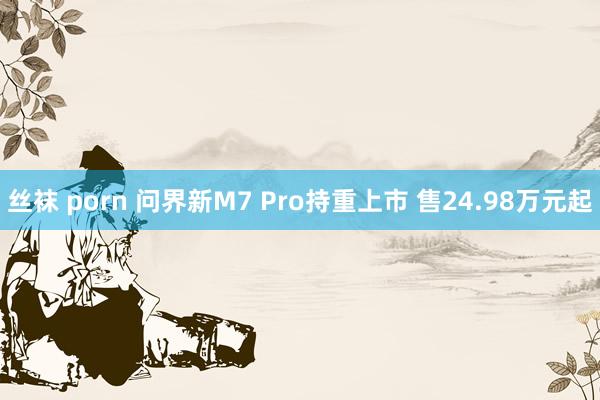 丝袜 porn 问界新M7 Pro持重上市 售24.98万元起