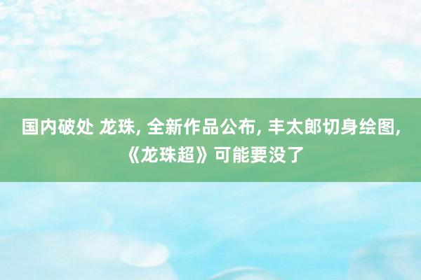 国内破处 龙珠， 全新作品公布， 丰太郎切身绘图， 《龙珠超》可能要没了