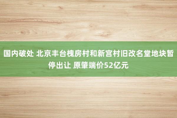 国内破处 北京丰台槐房村和新宫村旧改名堂地块暂停出让 原肇端价52亿元