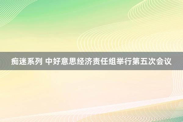 痴迷系列 中好意思经济责任组举行第五次会议