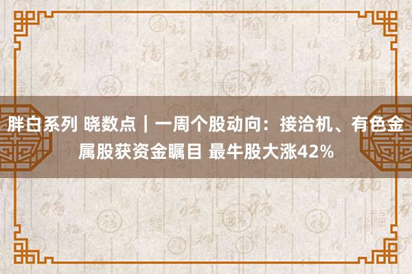 胖白系列 晓数点｜一周个股动向：接洽机、有色金属股获资金瞩目 最牛股大涨42%