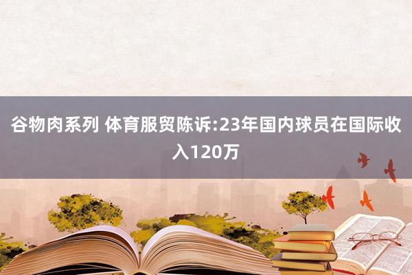 谷物肉系列 体育服贸陈诉:23年国内球员在国际收入120万