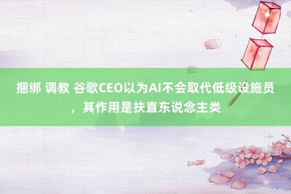 捆绑 调教 谷歌CEO以为AI不会取代低级设施员，其作用是扶直东说念主类