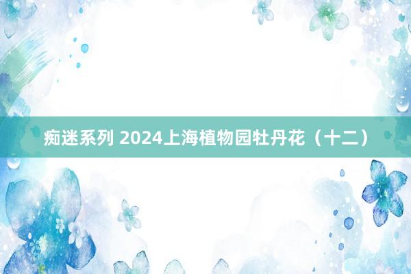 痴迷系列 2024上海植物园牡丹花（十二）