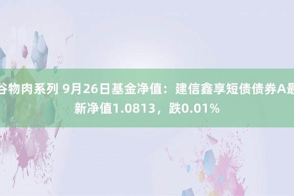 谷物肉系列 9月26日基金净值：建信鑫享短债债券A最新净值1.0813，跌0.01%