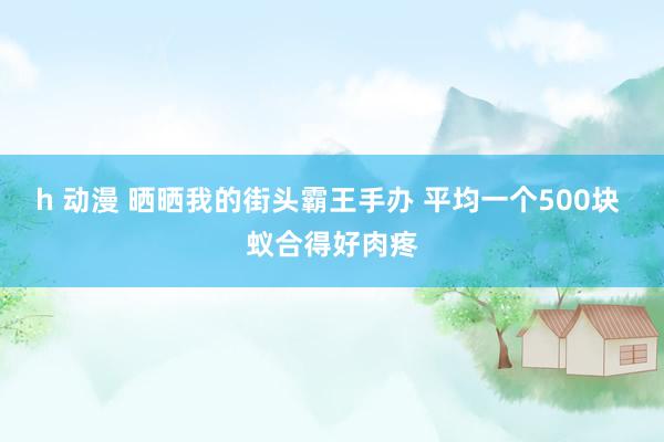 h 动漫 晒晒我的街头霸王手办 平均一个500块 蚁合得好肉疼