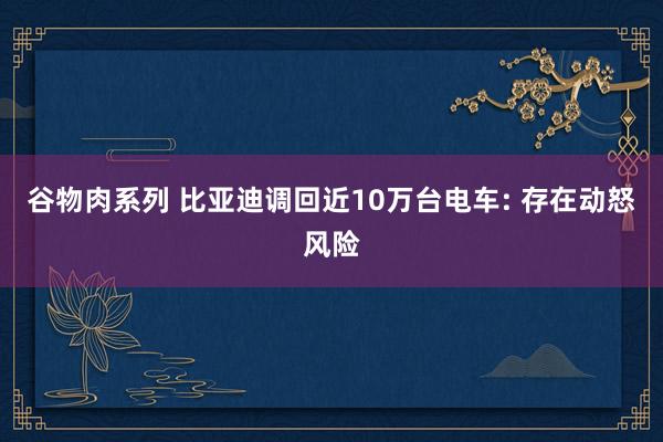 谷物肉系列 比亚迪调回近10万台电车: 存在动怒风险