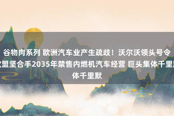 谷物肉系列 欧洲汽车业产生疏歧！沃尔沃领头号令欧盟坚合手2035年禁售内燃机汽车经营 巨头集体千里默