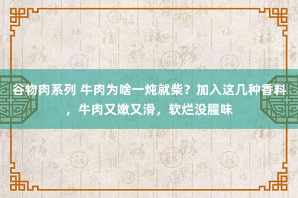 谷物肉系列 牛肉为啥一炖就柴？加入这几种香料，牛肉又嫩又滑，软烂没腥味