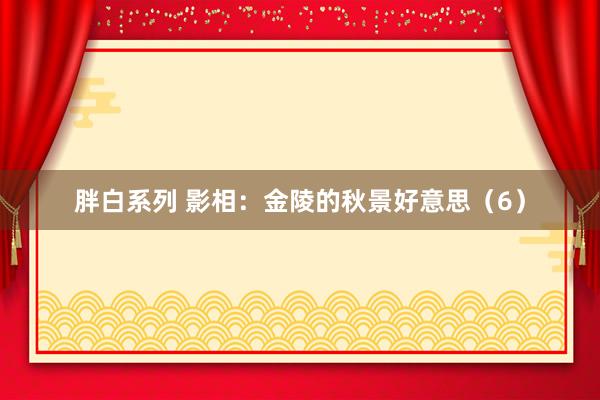 胖白系列 影相：金陵的秋景好意思（6）