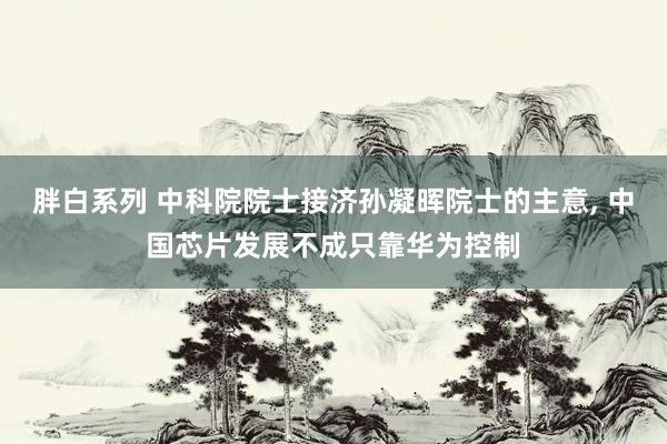 胖白系列 中科院院士接济孙凝晖院士的主意， 中国芯片发展不成只靠华为控制