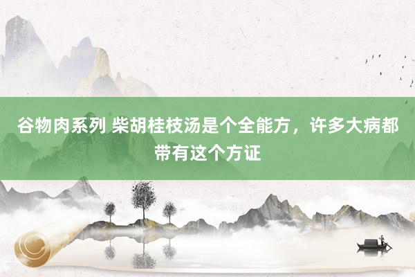 谷物肉系列 柴胡桂枝汤是个全能方，许多大病都带有这个方证