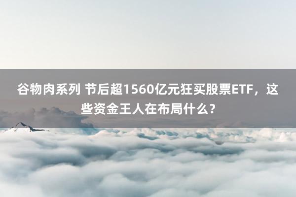 谷物肉系列 节后超1560亿元狂买股票ETF，这些资金王人在布局什么？