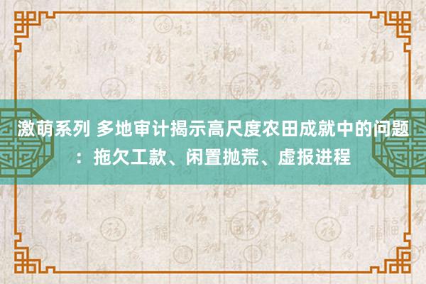 激萌系列 多地审计揭示高尺度农田成就中的问题：拖欠工款、闲置抛荒、虚报进程