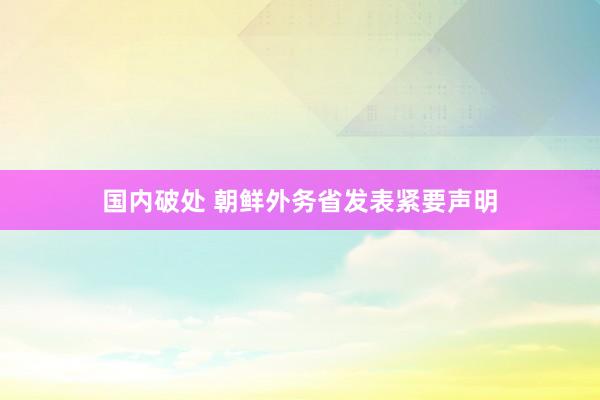 国内破处 朝鲜外务省发表紧要声明