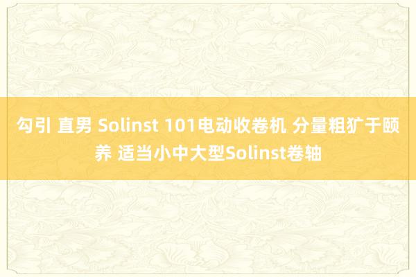 勾引 直男 Solinst 101电动收卷机 分量粗犷于颐养 适当小中大型Solinst卷轴