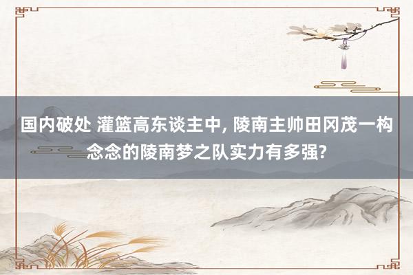 国内破处 灌篮高东谈主中， 陵南主帅田冈茂一构念念的陵南梦之队实力有多强?