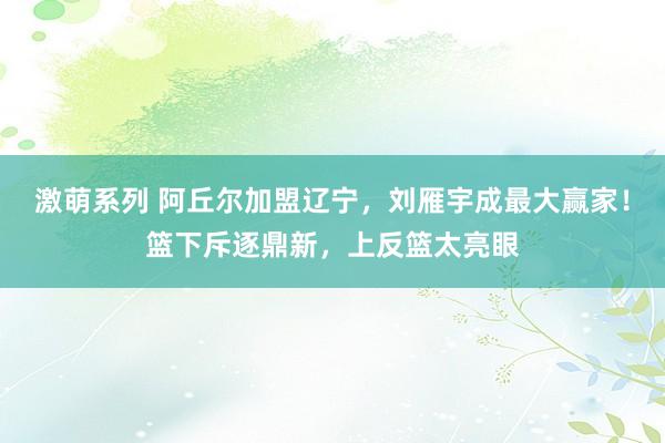 激萌系列 阿丘尔加盟辽宁，刘雁宇成最大赢家！篮下斥逐鼎新，上反篮太亮眼