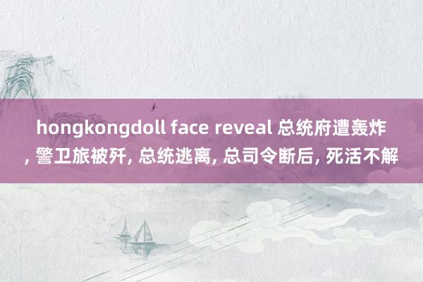 hongkongdoll face reveal 总统府遭轰炸， 警卫旅被歼， 总统逃离， 总司令断后， 死活不解