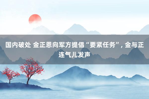 国内破处 金正恩向军方提倡“要紧任务”， 金与正连气儿发声