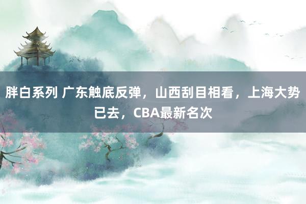 胖白系列 广东触底反弹，山西刮目相看，上海大势已去，CBA最新名次