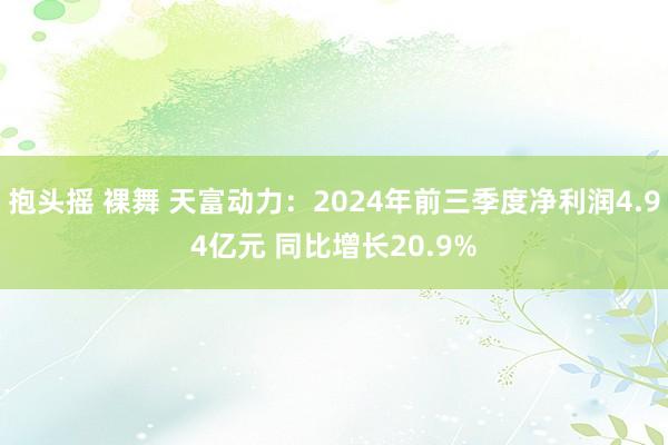 抱头摇 裸舞 天富动力：2024年前三季度净利润4.94亿元 同比增长20.9%