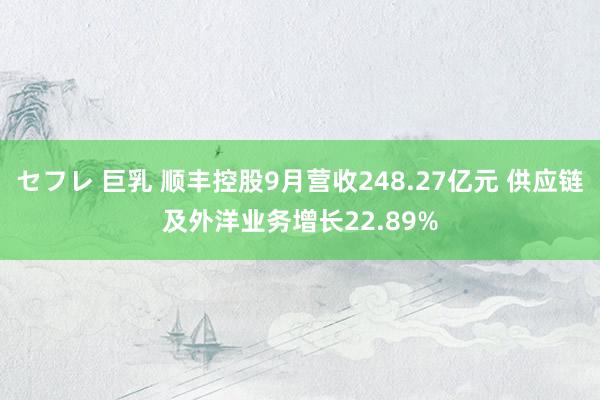 セフレ 巨乳 顺丰控股9月营收248.27亿元 供应链及外洋业务增长22.89%