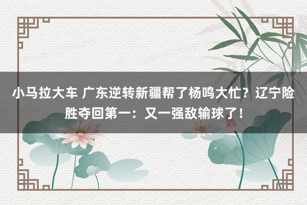 小马拉大车 广东逆转新疆帮了杨鸣大忙？辽宁险胜夺回第一：又一强敌输球了！