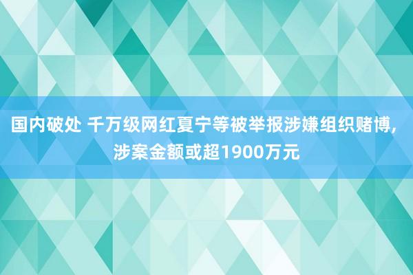 国内破处 千万级网红夏宁等被举报涉嫌组织赌博， 涉案金额或超1900万元