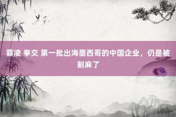 霸凌 拳交 第一批出海墨西哥的中国企业，仍是被割麻了