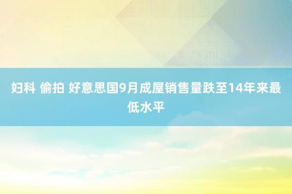 妇科 偷拍 好意思国9月成屋销售量跌至14年来最低水平