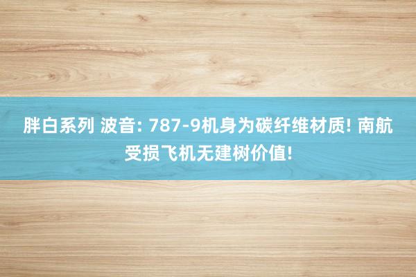 胖白系列 波音: 787-9机身为碳纤维材质! 南航受损飞机无建树价值!