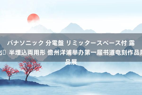 パナソニック 分電盤 リミッタースペース付 露出・半埋込両用形 儋州洋浦举办第一届书道电刻作品展