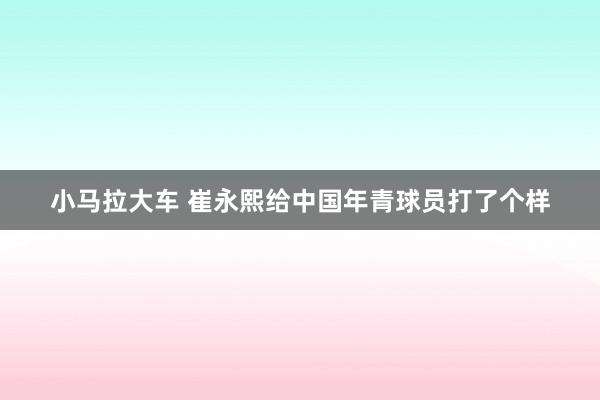 小马拉大车 崔永熙给中国年青球员打了个样