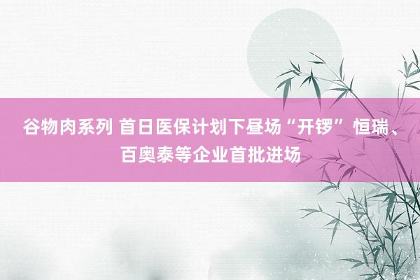 谷物肉系列 首日医保计划下昼场“开锣” 恒瑞、百奥泰等企业首批进场