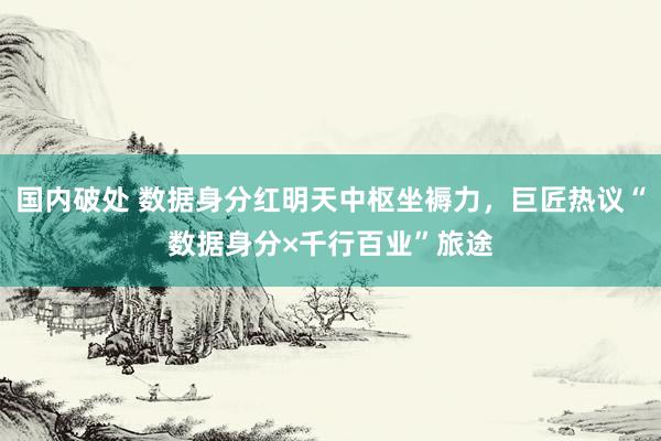 国内破处 数据身分红明天中枢坐褥力，巨匠热议“数据身分×千行百业”旅途