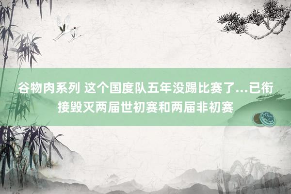 谷物肉系列 这个国度队五年没踢比赛了...已衔接毁灭两届世初赛和两届非初赛