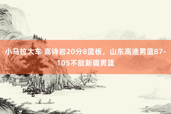 小马拉大车 高诗岩20分8篮板，山东高速男篮87-105不敌新疆男篮