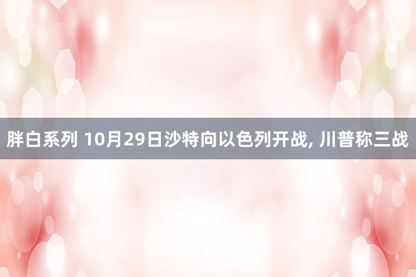 胖白系列 10月29日沙特向以色列开战， 川普称三战