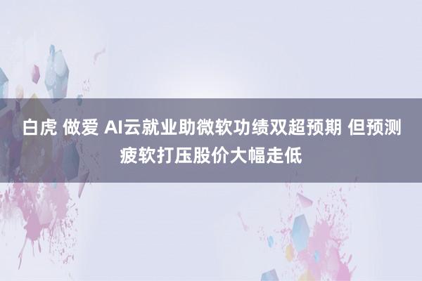 白虎 做爱 AI云就业助微软功绩双超预期 但预测疲软打压股价大幅走低